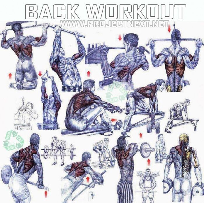 Back Workout - Healthy Fitness Exercises Gym Bicep Tricep - Yeah We ...