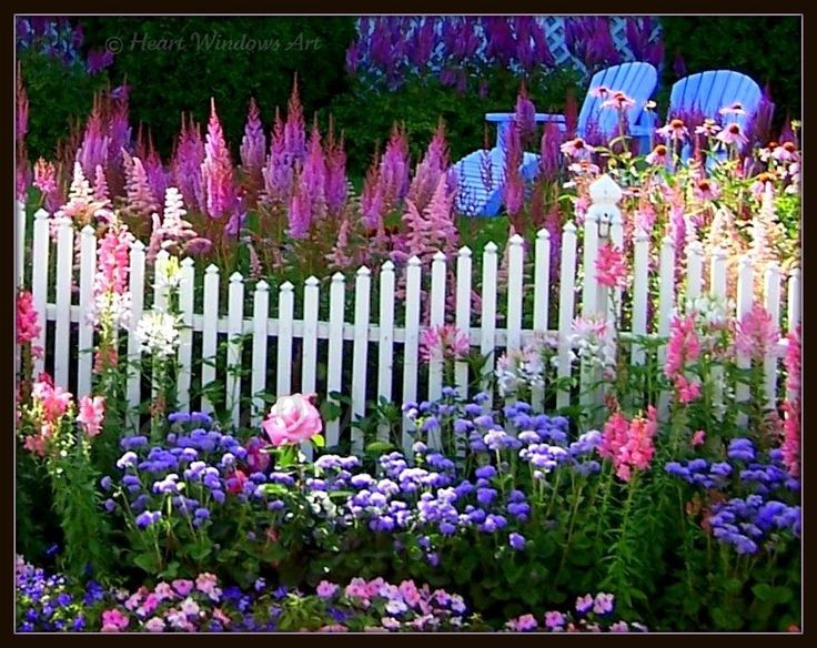 Pinks and purples galore in this lovely cottage garden. Why is it that