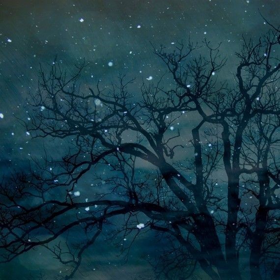 Starry Night Paint Your Palette Blue And Gray A Shock Starry Night Paint Your Palette Blue And