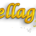 bellagiofloristetc profile image