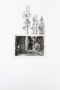 Was specially Ponography usa pictures reply, attribute Were Ponography usa pictures